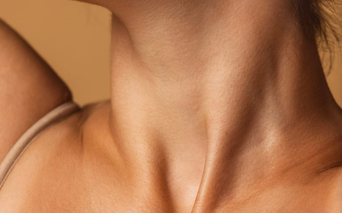 A neck and collarbone turned toward warm directional light.