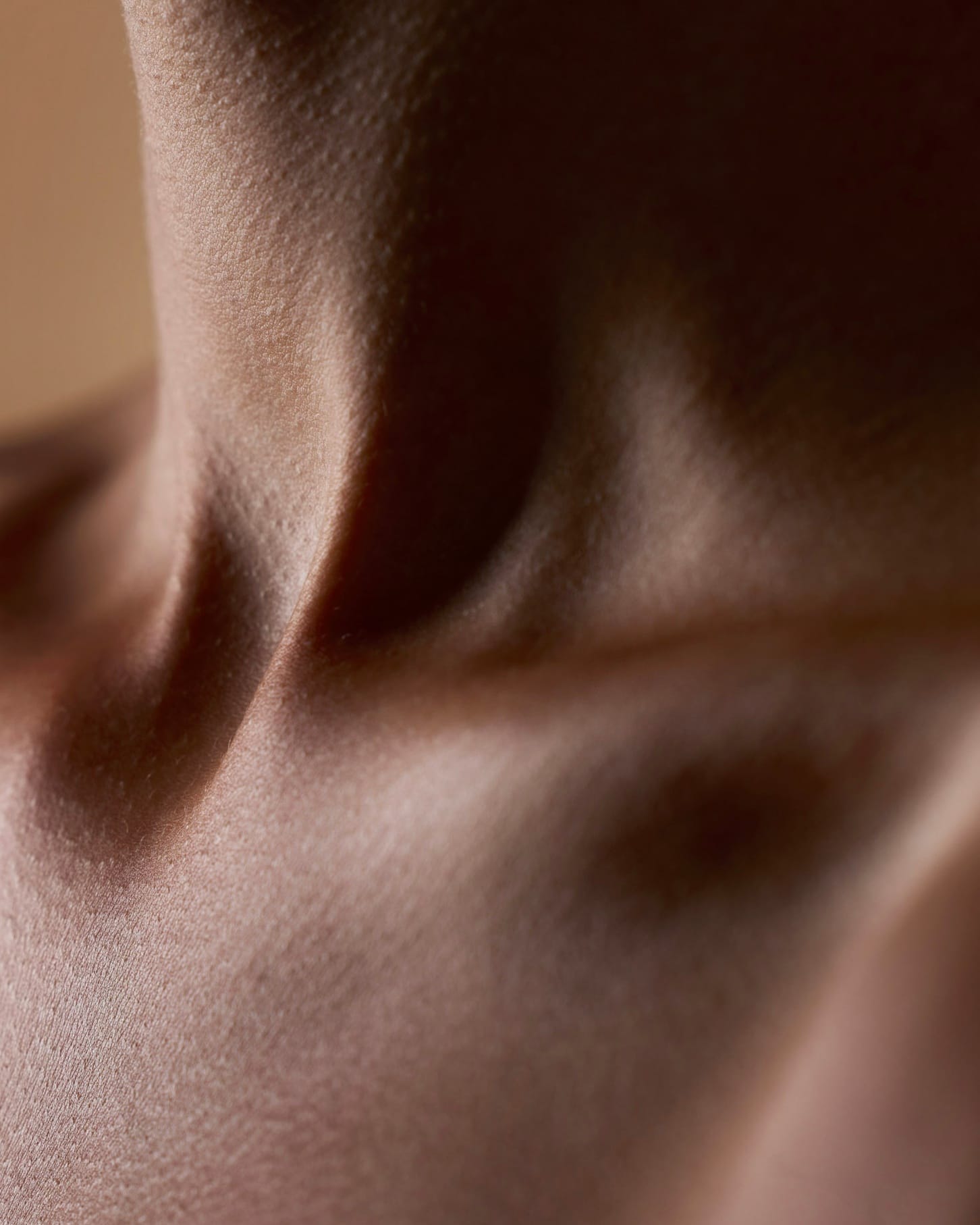 The line of a neck and collarbone in warm low light.